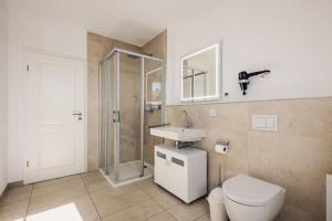 a bathroom with a toilet and a sink and a shower at Ferienhäuser Baltic Lagoon Haus 14 in Fuhlendorf +32 photos