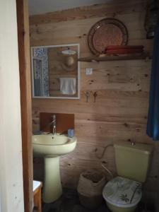 a bathroom with a sink and a toilet at Chalet Hibou Domaine de la Mamounette in Champclause