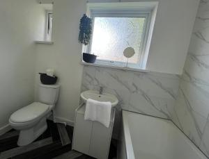 a bathroom with a toilet and a sink and a window at Alexander Apartments Marsden in South Shields