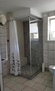 a shower with a glass door in a bathroom at Ranczo u Andrzeja in Rybaki