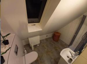 uma pequena casa de banho com WC e lavatório em Ranczo u Andrzeja em Rybaki