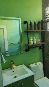 A bathroom at Casa Verde - Modern Apt in Santurce's Art District in San Juan