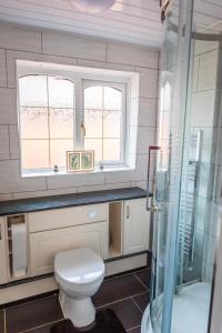a bathroom with a toilet and a glass shower at Comfort at Keldy in Tettenhall