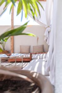 una camera con due letti e una pianta di Desart Hostel ad Agadir