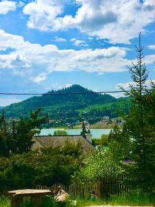 - une vue sur une étendue d'eau et une montagne dans l'établissement Casa dintre Brazi, à Colibiţa