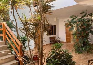 曼科拉的住宿－Hospedaje Costa Norte，一间拥有一束棕榈树和楼梯的房间