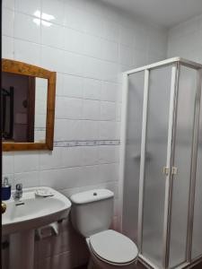 a bathroom with a toilet and a shower and a sink at Lourdes 1 casa compartida solo con la anfitriona in Breña Baja