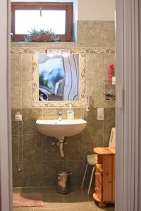 a bathroom with a sink and a mirror at Füzesi Papa Vendégháza in Harta