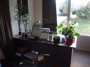 a desk with potted plants and a laptop on it at Spa B&B in Queenstown