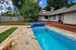 a dog is sitting next to a swimming pool at Ace House in Nyeri
