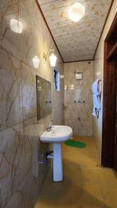 uma casa de banho com um lavatório e um chuveiro em Ace House em Nyeri