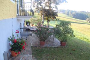 Zahrada ubytování Ferienhaus Temmel