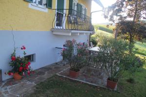 Zahrada ubytování Ferienhaus Temmel
