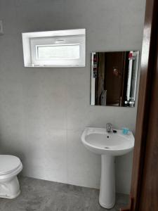 クタイシにあるOld Marani hotel, Tskaltuboのバスルーム(洗面台、トイレ、鏡付)