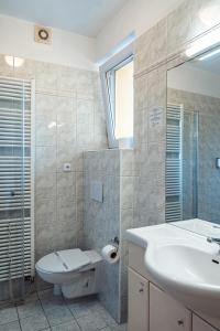 La salle de bains est pourvue d'un lavabo, de toilettes et d'un miroir. dans l'établissement Penzion Hurikán 63, à Havlíčkův Brod