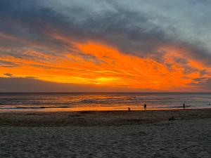 Zdjęcie z galerii obiektu T2 en bord de plage à Capbreton w mieście Capbreton