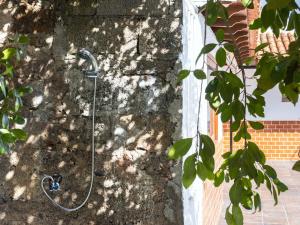 Ogród w obiekcie Live Tata Casa con jardin y vistas