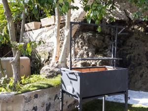 Ogród w obiekcie Live Tata Casa con jardin y vistas