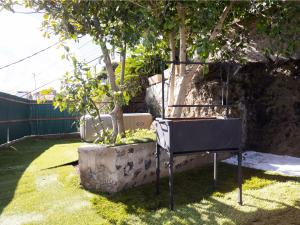 Ogród w obiekcie Live Tata Casa con jardin y vistas