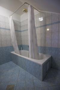 a bath tub with a shower curtain in a bathroom at Domačija Malnarjevi in Villa Slavina