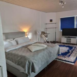 - une chambre avec un grand lit et une télévision à écran plat dans l'établissement Helles Appartment, à Brême