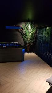 a room with a plant in the corner of a room at Apartamenty Prestige Solina - jacuzzi i sauna in Solina +17 photos