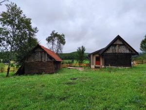 two old barns in a field of green grass at Oaza Mister D 