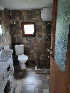a bathroom with a toilet and a washing machine at Oaza Mister D 