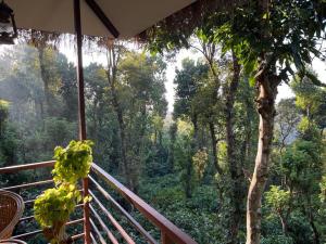 Een tuin van Coffee Cradle Wayanad Luxuorios Private Tree House - Inside 2 Acre Coffee Plantation