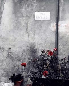 una señal en el costado de una pared con flores rojas en La casa di Cinzia en Pettorano sul Gizio