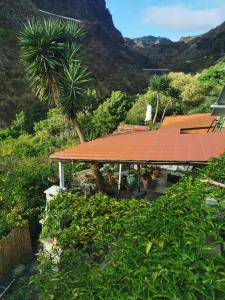 una casa con techo rojo y una palmera en Eco Finca in Paradise Valley Azuaje, en Firgas