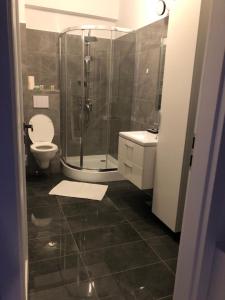 La salle de bains est pourvue d'une douche, de toilettes et d'un lavabo. dans l'établissement Q Luxury Apartment - Palas Center, à Iaşi