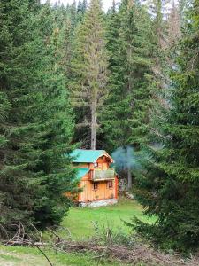 drewniany domek na środku lasu w obiekcie Isov Ranch w mieście Plav