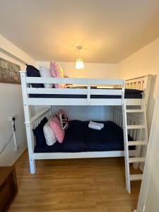 two bunk beds with pillows on them in a room at 36 O’Leary square in London