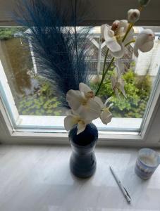 a blue vase with white flowers in a window at Ferienwohnung Stadtgracht in Nordhorn