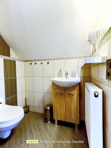 a bathroom with a sink and a toilet at Hortensjowy Zakątek w Pieninach in Sromowce Wyżne