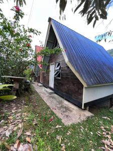 a house with a blue roof with a yard at Saiheng Cabin Homestay in Kota Belud