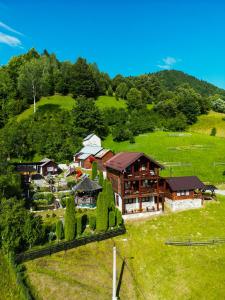 Luftaufnahme eines Hauses auf einem Hügel in der Unterkunft Cabana La Mariuca in Borsa