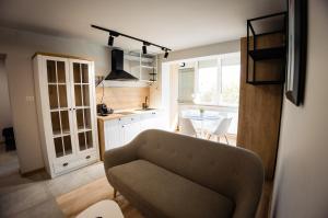 a living room with a couch and a kitchen at Apartament 209 in Alba Iulia