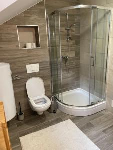 Koupelna v ubytování Apartma Med smrekami Golte + 6 fotografií