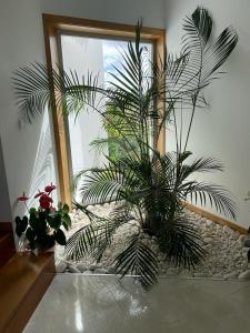 Afbeelding uit fotogalerij van CasaAnabela in Póvoa de Varzim