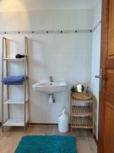 a bathroom with a sink and a shelf at Guadeloupe Guesthouse in Port-Louis