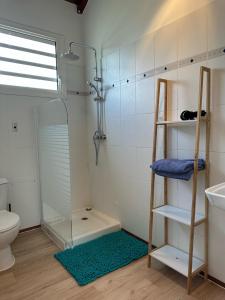 a bathroom with a shower and a toilet and a sink at Guadeloupe Guesthouse in Port-Louis