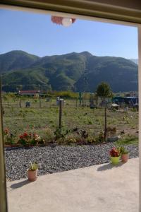 uma vista para um campo com dois vasos de plantas em Shpija E AMEL (Sweet Guest House) 