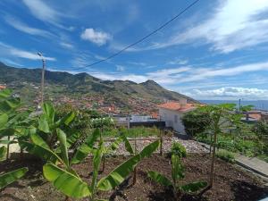- une vue depuis le toit d'une maison avec des montagnes en arrière-plan dans l'établissement Gouveia Family Escape, à Machico