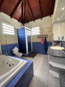 a bathroom with a tub and a toilet and a sink at Guadeloupe Guesthouse in Port-Louis