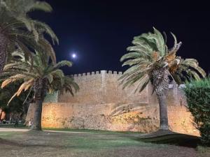 two palm trees in front of a wall at night at Magical Treehouse in Lagos