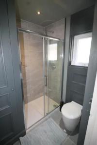 ein Bad mit einem WC und einer Glasdusche in der Unterkunft City Centre Bolt Hole Exeter in Exeter