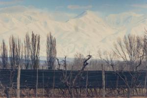Imagen de la galería de KooColand-CHE, en Tupungato 8 fotos más