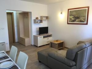 salon z kanapą i telewizorem w obiekcie Apartments Sanbrandin w Krku